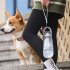 550ml Portable Pet Water  Dispenser Leak proof Dog Water Bottle Folding Transparent Pet Care Cup Accompanying Supplies For Travel grey