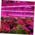 5M 12V LED Plant Grow Strip Light Full Spectrum Creative Rope Light for Vegetable Cultivation Horticulture Industrial Seedling 5 meters waterproof