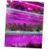5M 12V LED Plant Grow Strip Light Full Spectrum Creative Rope Light for Vegetable Cultivation Horticulture Industrial Seedling 5 meters waterproof