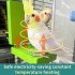 5W Bird Heated Perch Low Pressure Constant Temperature Heating Foot Platform Yellow Green US Plug