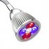 5W LED Grow Light with blue and red led light to better promote growth and blooming in your plants and flowers  