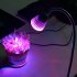 5W LED Grow Light with blue and red led light to better promote growth and blooming in your plants and flowers  