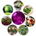 5W LED Grow Light with blue and red led light to better promote growth and blooming in your plants and flowers  