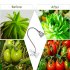 5W LED Grow Light with blue and red led light to better promote growth and blooming in your plants and flowers  