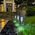 5pcs Outdoor LED Solar Lawn Lights With 2V 40MAH Solar Panel IP55 Waterproof Stainless Steel Stake Lights Garden Lamp  4 5 x 29 5cm 5 5 x 36 5cm  4 5cm