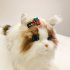 6 8pcs 3 2cm Pet Christmas Hair Clips Hairpin Cartoon Pet Headgear Pet Hair Accessories Christmas Gift For Dogs Cats 6 piece set 3 2cm