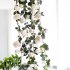 6 Feet Hand made Artificial Silk Rose Vines Decorative Fake Rose Flower for Home Wall Garden Wedding Party Decor White