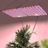 60W LED Quantum Board Plant Grow Light Full Spectrum Dimming Timer Succulents Growing Lights For Indoor Plants EU Plug round plug
