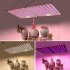 60W LED Quantum Board Plant Grow Light Full Spectrum Dimming Timer Succulents Growing Lights For Indoor Plants EU Plug round plug