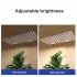 60W LED Quantum Board Plant Grow Light Full Spectrum Dimming Timer Succulents Growing Lights For Indoor Plants EU Plug round plug