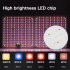 60W LED Quantum Board Plant Grow Light Full Spectrum Dimming Timer Succulents Growing Lights For Indoor Plants US Plug flat plug