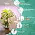 6W 380 800nm Full Spectrum LED Grow Light Plant Growing Lamp With 3 Timer 4 Level Dimming For Indoor Plants 10W