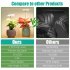 6W 380 800nm Full Spectrum LED Grow Light Plant Growing Lamp With 3 Timer 4 Level Dimming For Indoor Plants 10W