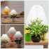 6W 380 800nm Full Spectrum LED Grow Light Plant Growing Lamp With 3 Timer 4 Level Dimming For Indoor Plants 10W