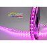 7 meter Flexible Multi Color LED Light Strip for house or venue decoration both inside and outside   Instantly bring out the holiday spirit 