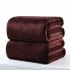 70 100cm Soft Micro Plush Fleece Blanket Sofa Throw Rug Travel Warm Blankets Light purple