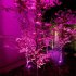 7led Solar Spot Lights Built In 2200mah Lithium Battery Outdoor Colorful Rgb Garden Lawn Landscape Lamp