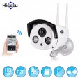 UK Hiseeu Wifi Camera