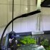 7w Led Fish Tank Clip Light Aquarium Energy Saving Flexible Lamps For Fish Tank Lighting  eu us Plug  Black USB