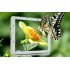 8 Inch HD 3G Android Tablet has a MTK8382 Quad Core 1 3GHz CPU  1280x800 Resolution and an IPS Display