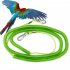 8  Outdoor Flying Elastic Rope for Parrot Birds Training Random Color Ring 8 3 meter flight rope