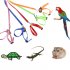 8 Shape Flying Training Rope Pet Leash for Parrot Bird Hamster Tortoise Lizard red
