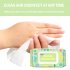 80pcs Disposable Effective Cleaning Bacteriostatic Wipes Wet Tissue Portable 80PCS
