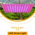 81led Led Grow Light Full Spectrum Uv Plant Growing Lamp For Indoor Hydroponic Plants EU plug