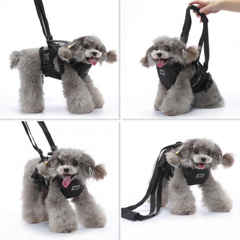 Dog Lift Harness Multi-functional Pet Chest Support Lifting Aid Dog Sling With Handle For Old Disabled Joint Injuries Dogs Walking STXB01 black S
