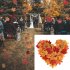 8cm Color Mixed Artificial Maple Leaf for Autumn Wedding Decoration