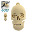 Flash Drive