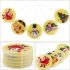9 8 Feet LED Christmas String Lights With USB 7LM High Brightness Energy Saving For Outdoor Pathway Walkway Patio Decorations USB models