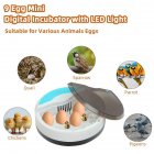 9 Eggs Incubator Stable Temperature Control Compact Button Led Light for Incubation Tools British regulatory