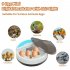 9 Eggs Incubator Stable Temperature Control Compact Button Led Light for Incubation Tools European regulations