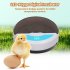 9 Eggs Incubator Stable Temperature Control Compact Button Led Light for Incubation Tools U S  regulations