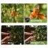 9 in 1 Phone Camera Lens 2X Zoom Lens   0 36X Super Wide Angle Lens   198   Fisheye Lens   15X   20X Macro Lens   CPL   Kaleidoscope Lens   Starburst Lens for Sm