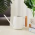 900ml Indoor Watering Can With Long Spout Comfortable Wooden Handle Stainless Steel Watering Can For Indoor Plants White