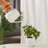 900ml Indoor Watering Can With Long Spout Comfortable Wooden Handle Stainless Steel Watering Can For Indoor Plants White