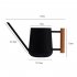 900ml Indoor Watering Can With Long Spout Comfortable Wooden Handle Stainless Steel Watering Can For Indoor Plants White