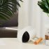 900ml Indoor Watering Can With Long Spout Comfortable Wooden Handle Stainless Steel Watering Can For Indoor Plants White