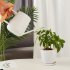 900ml Indoor Watering Can With Long Spout Comfortable Wooden Handle Stainless Steel Watering Can For Indoor Plants White