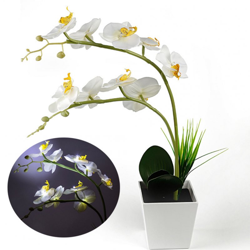 9LEDs Simulate Phalaenopsis Pot Lamp with White Light for Decoration White light