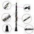 ABS 17 Key Clarinet Bb Flat Soprano Binocular Clarinet with Cork Grease Cleaning Cloth Gloves 10 Reeds Screwdriver Reed Case purple