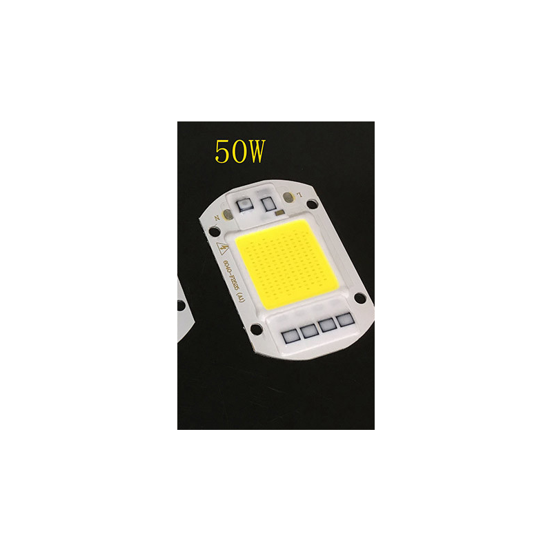 AC 110V 220V LED Floodlight COB Chip Smart IC Driver Bulb Lamp 20W 30W 50W 50W AC110V Cool White
