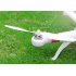 AEE AP9 Quadcopter with 20M Per Second speeds  GPS hold  Auto Return  500M Remote Range  Camera Mount  5300mAh Battery and 25 Minutes flying time 