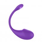 APP Remote Control Vibrator Sex Toys For Women With 10 Powerful Vibration Modes Vibrator For Couples Women Pleasure Purple (white box)