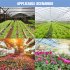 Ac85 265v Led Grow Light Plant Seed E27 Full Spectrum Hydroponic Lampara Panel Bombilla Grow Tent Bulb 200w 300w 400w 400
