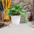 Acrylic Calendar Board Desktop Clear Memo Note Board Monthly Planning Whiteboard With Stand 6 Markers Pen For Office Home School TYU309