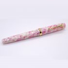 Acrylic Fountain Pen Rotating lid Calligraphy Writing Pen School Office Name Ink Pens Gift Stationery pink_Pen 0.5MM-26 tip