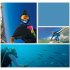 Action Camera Ultra HD 4K WiFi 2 0  170D Underwater Waterproof Helmet Camera Sport Camera
